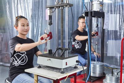 Electronic & Weight-Type Tensile Tester